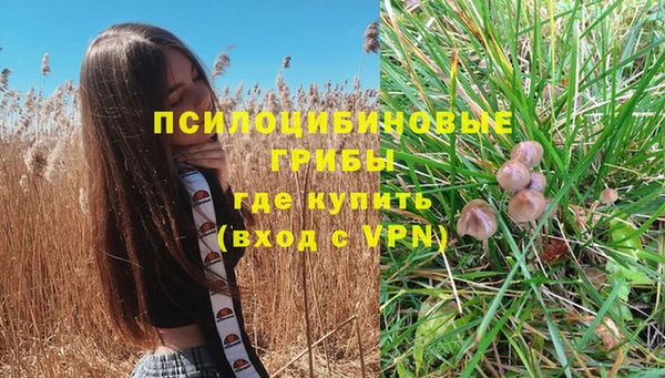 ГАЛЛЮЦИНОГЕННЫЕ ГРИБЫ Снежногорск