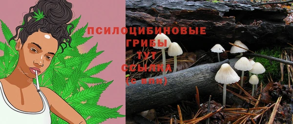 mdpv Слюдянка