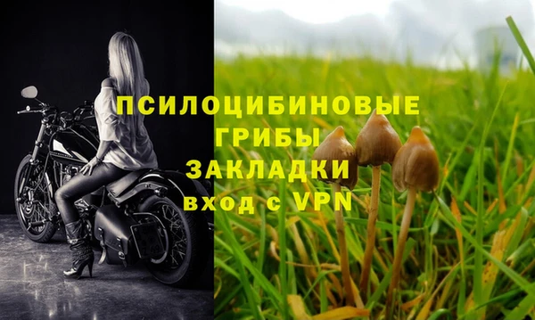 mdpv Слюдянка