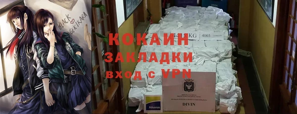 ГАЛЛЮЦИНОГЕННЫЕ ГРИБЫ Снежногорск