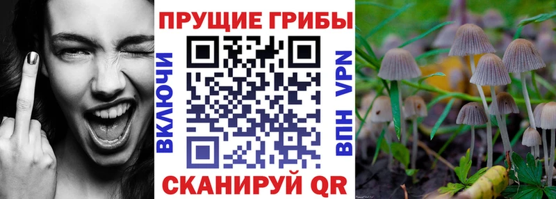 Галлюциногенные грибы ЛСД Орск